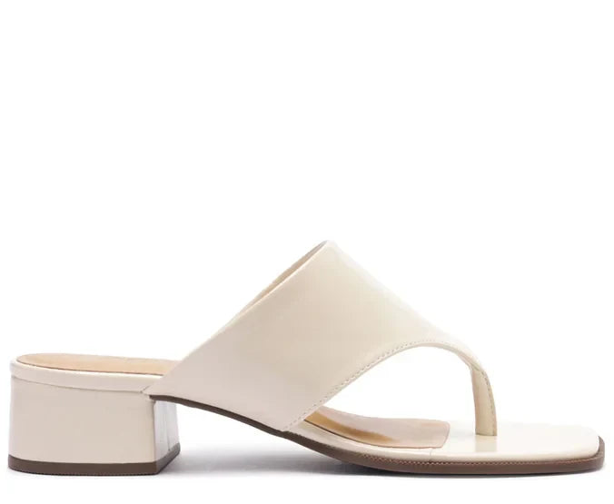 Sandália Mule Gaspéa Regular Marrom